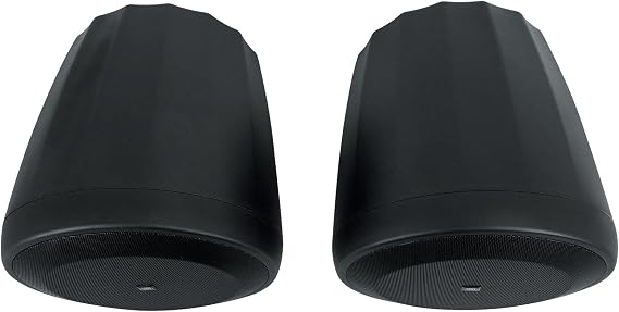 JBL Professional C60PS/T Hanging Pendant Subwoofer with Passive Crossover, Black, Sold as Pair