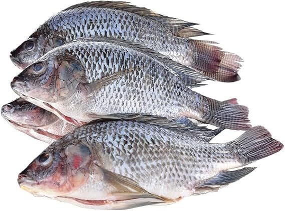 Black Tilapia Fish, 5kg +|- 10%