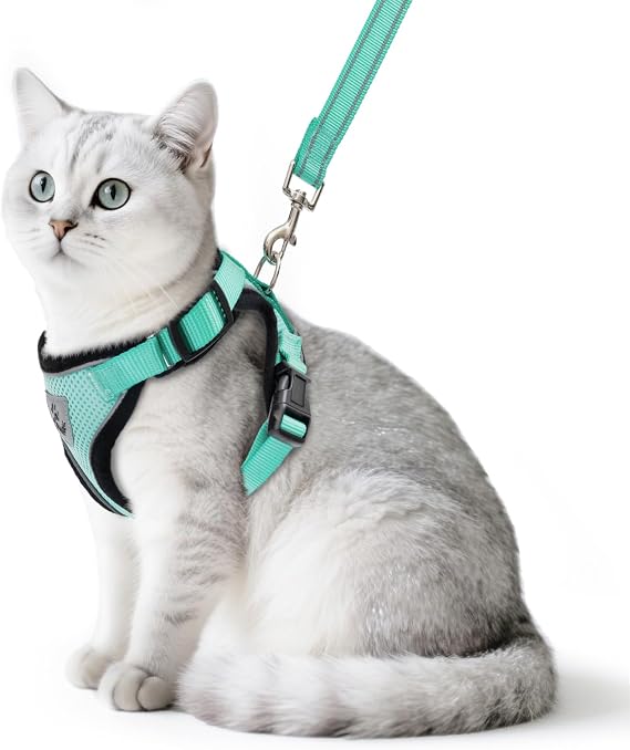 PUPTECK Cat Harness and Lead Set Escape Proof Reflective Cat Walking Harness Adjustable Soft Breathable Mesh Vest for Small Pets, Aquamarine M