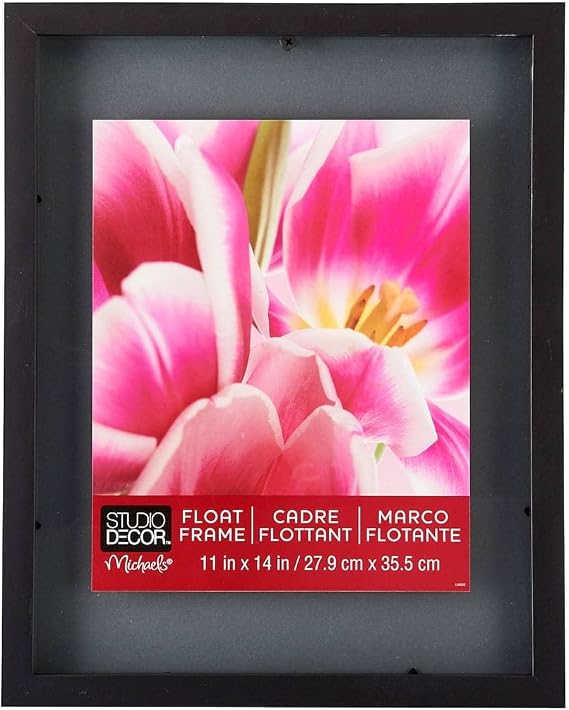 Studio Decor Black Float Frame