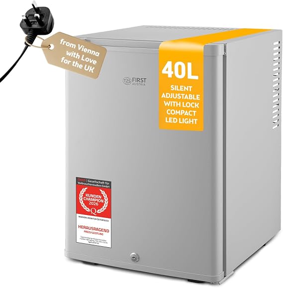 TZS First Austria - Mini fridge 40L silent & lockable - Small Minifridge, with reversible door hinge & interior lighting - Low noise Minibar for camping, office, bedroom & hotel - Grey [Energy Class E]
