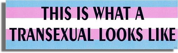 Gear Tatz - This is What A Transexual Looks Like - 3 x 10 inch Bumper Sticker - Vinyl Decal Professionally Made in USA