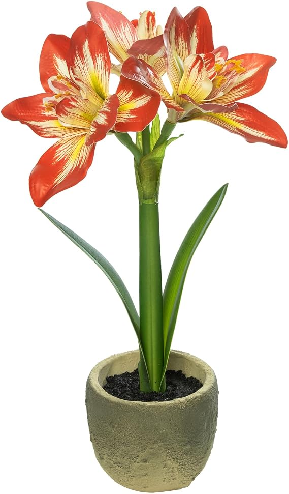 Coferset Lifelike Fake Amaryllis Flower with Pot,Red | 15" Realistic Artificial Amaryllis Flower Plant Potted for Home Bathroom Office Living Room Shelf Tabletop Decor