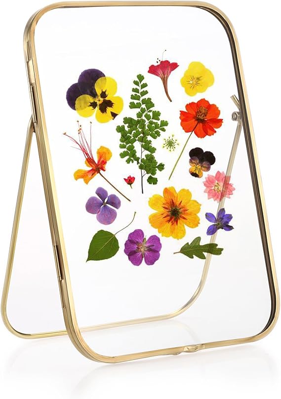 JUXYES Tabletop 5x7 Brass Double Glass Ornament Frames for Pressed Flowers