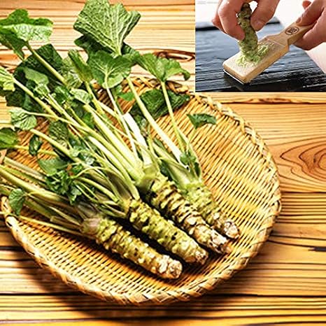 Wasabi Seeds Japanese Horseradish Seeds 8g 1000+ Mustard Seeds Vegetable Wasabia Japonica Home Garden Bonsai Plants