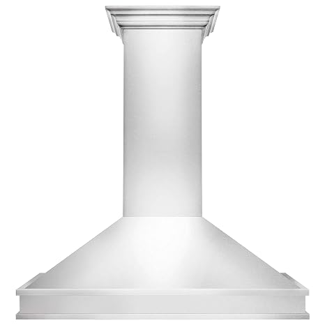 ZLINE 48 in. Designer Series Wall Mount Range Hood in Satin Stainless Steel (8656S-48)