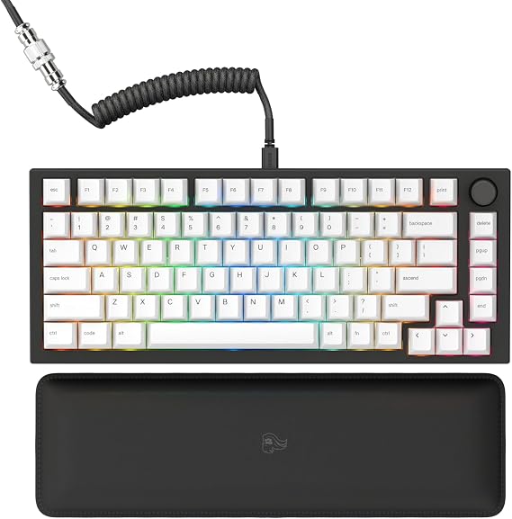 GLORIOUS Gaming GMMK PRO 75% - Modular Mechanical Gaming Keyboard, TKL Size, 1.5kg Frame, Fox Switches, Fully Customizable, Coiled Cable, Wrist Rest, White PBT Keycaps, RGB, QWERTY - Black