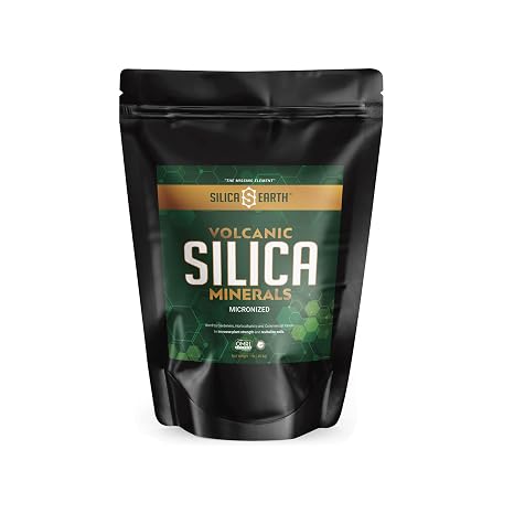 Volcanic Silica Minerals Micronized 1 lb
