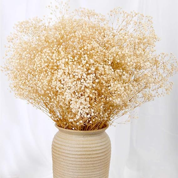2500+ Dried Babys Breath Flowers Bouquet, 17" Natural Ivory Dry Flower Bulk