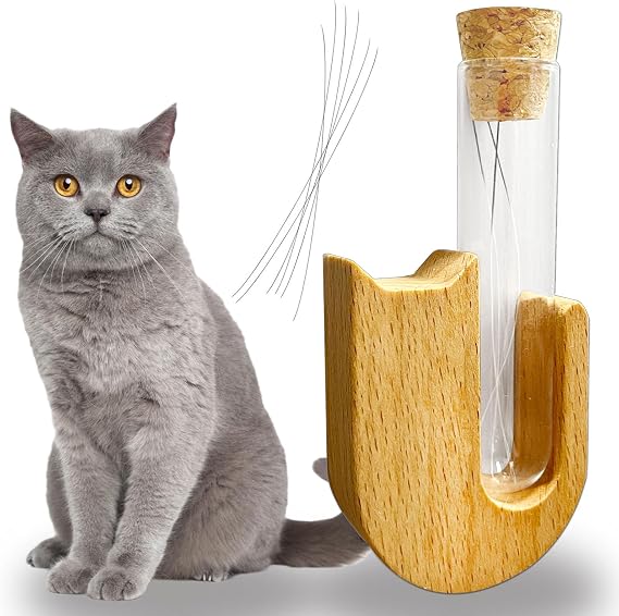 Cat Whisker Holder, Mini Glass Vase for Cat Whiskers, Cat Whisker Jar, Elegant Memorial Gift for Pet Lovers, Pet Loss Gift for Dog and Cat Ashes and Hair Keepsake