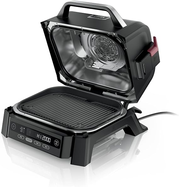 Ninja Woodfire Outdoor Grill & Smoker, 3-in-1 BBQ, Bake & Roast, OG301