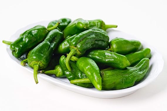 Pimentos De Padron Hot Pepper 10+ Seeds