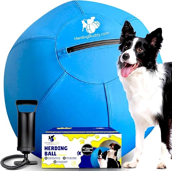 Herding Ball for Dogs - 18-Inch Complete Set for Small Herding Dogs