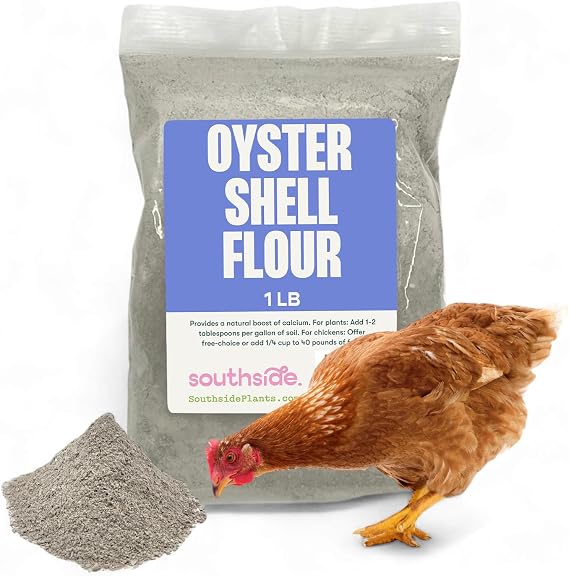 Oyster Shell Flour - High Calcium Supplement for Chickens, Amphibians, Reptiles, Mammals, Invertebrates & Birds - Harvest Delight Chicken Scratch | 1 lbs (1 lb)