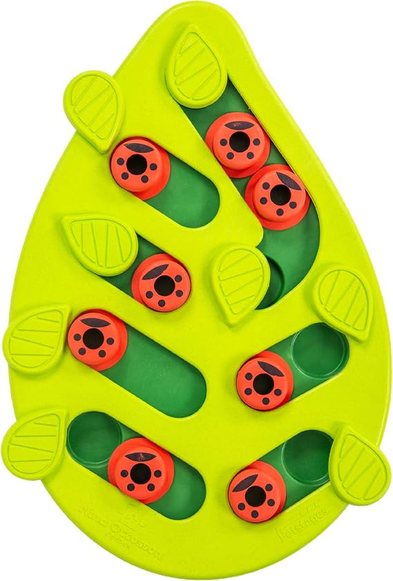 Nina Ottosson by Catstages Buggin' Out Puzzle & Play - Interactive Cat Treat Puzzle