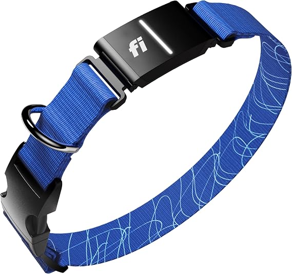 Fi Series 3+ GPS Dog Collar Small Blue, Tracker with 6-Month Plan