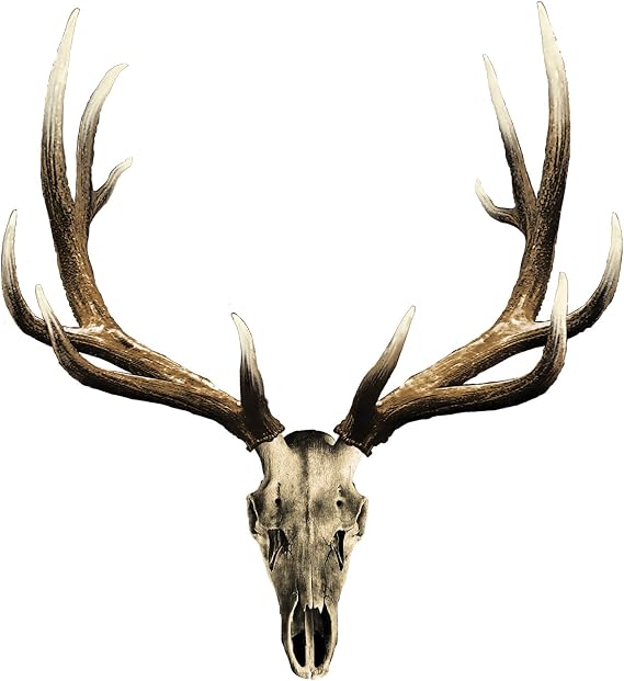 Mossy Oak Graphics Animal Decal, Easy to Install, No-fade, Cast Vinyl, Hi-def, Matte Finish, Many Patterns