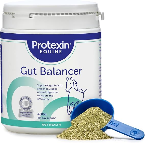 Protexin Equine Gut Balancer, Daily Gut Support, Horse & Pony, 3.5kg Powder | Probiotic & Prebiotic Everyday Gut Support, Encourages Normal Digestive Function, Dandelion Flavour