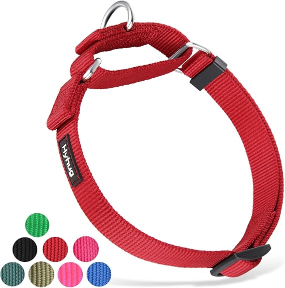 Hyhug Martingale Dog Collars, Large Red, Escape Proof
