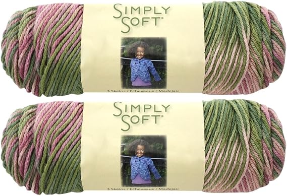 Bulk Buy: Caron Simply Soft Yarn Paints (2-pack) (Rose Garden),Each skein - 4oz/113.4g 208yds/190m