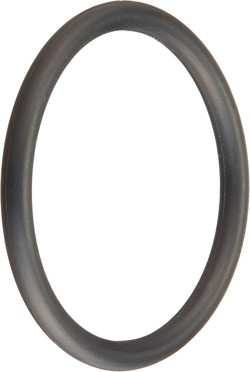 Pentair E21 2 Wall Fitting O-Ring Replacement Automatic Pool Cleaner