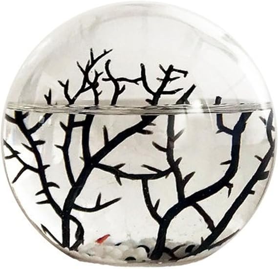 Ecosystem- Closed Ecosystem, Small Round Sphere 4" with 2-3 Shrimp