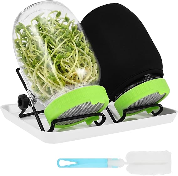 2 Pack Seed Sprouting Jar Kit 1000 ml Wide Mouth Mason Jars Complete Glass Sprout Growing Set with Stainless Steel Mesh Sprouting Lids Drain Stand Sprouting Jar for Broccoli Mung Bean Alfalfa Sprout