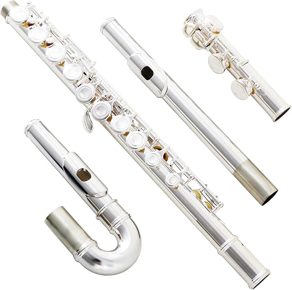 EASTROCK Silver Plated C Flute Closed Hole 16 Keys Flute Instrument with Curved Head Joint Mouthpiece Replacement,Cleaning Kit,Stand,Carrying Case,Gloves,Tuning Rod for Beginners Students