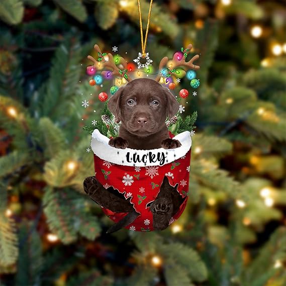 Personalized Chocolate Labrador Dog Christmas Ornament in Snow Pocket, Christmas Tree Ornament, Dog Lovers Gift Idea Xmas Decor, Christmas, Birthday, Holiday - T44
