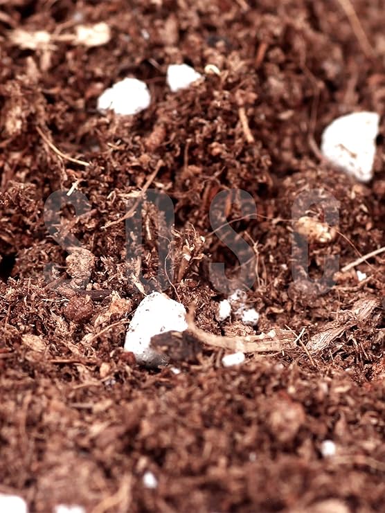 Substrat Mix Ithal Torf Cocopeat Perlit Özel Karışım Saksı Harcı Çiçek Ve Bitki Toprağı 1 LT