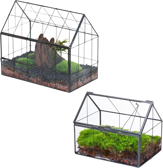 NCYP Geometric Glass Terrarium with Front Opening Door, and Mini House-Shaped Terrarium with Lid, for Small Succulent, Cacti