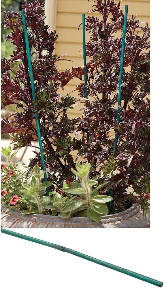 Bond Packaged Bamboo Stakes (25 Pack), 0.5" x 0.5" x 2'