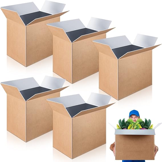 Henoyso 5 Pcs Large Insulated Shipping Boxs Bulk 19" x 12" x 16" for Frozen Food with Foil Insulated Cold Bag Liner Shipping Box Cooler Box Cold Pack Boxes for Fresh Food Mailing Packing Business
