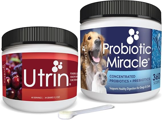Bladder, Urinary Tract, Kidney Supplements for Dogs & Cats, UTI - Probiotics, Cranberry, D-Mannose, Immune System, Urinary Tract Health, Incontinence, Natural