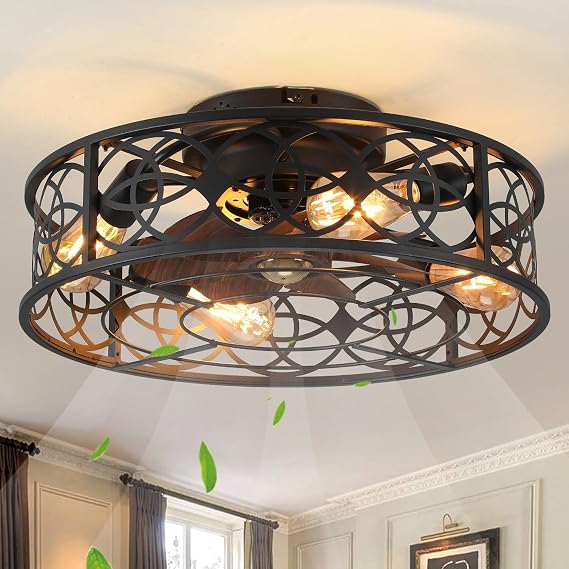 20" Caged Black Ceiling Fan with Lights Remote Control