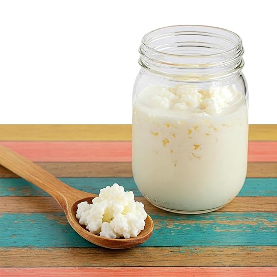Milk Kefir Grains DIY Fermented Probiotic Starter for Any Milk | Works with whole, almond, goat & coconut milk. Live starter grains for homemade probiotic.