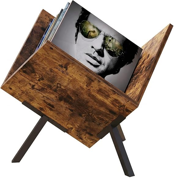 Conceptual Design Vinyl Record Storage, Album Organizer for Home