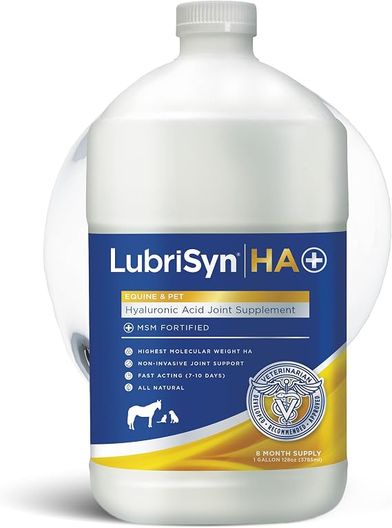 LubriSyn HA Hyaluronic Acid Hip & Joint Supplement Plus MSM for Dogs & Cats, Vet-Developed Oral Liquid HA for Pets & Horses Supports Mobility, Cartilage & Comfort, 128 oz