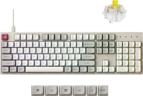 Keychron C2 Pro Wired Mechanical Keyboard with 8K Hz Polling Rate, Full Size Custom RGB Backlit Hot-Swappable, Non-Shine Through PBT Keycaps Compatible with Mac Windows Linux