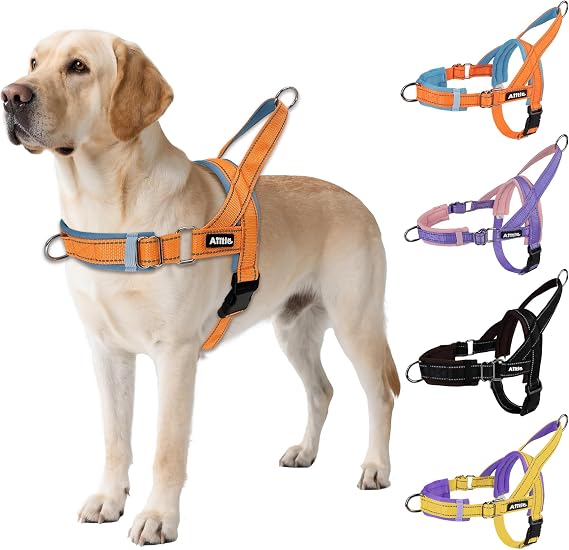 AIITLE Anti-Pull Dog Harness Adjustable Padded Orange Blue XXS