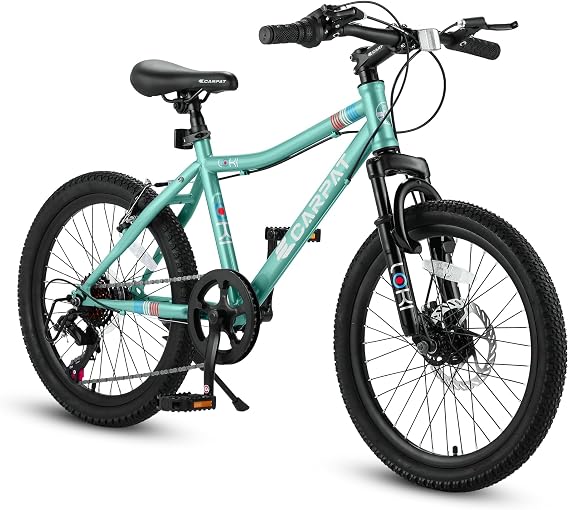 ZeHuoGe 20 Inch Young Riders Bike, Boys Girls Mountain Bike, 7 Speed Teenager Young Riders Bicycles, Front Suspension Disc Brake Rear V-Brake, High Steel Frame