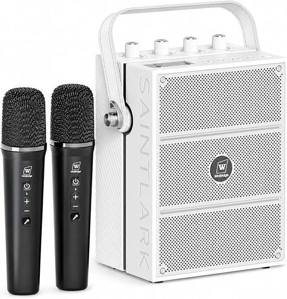 100W Bluetooth Speaker with 2 Wireless Microphones S99