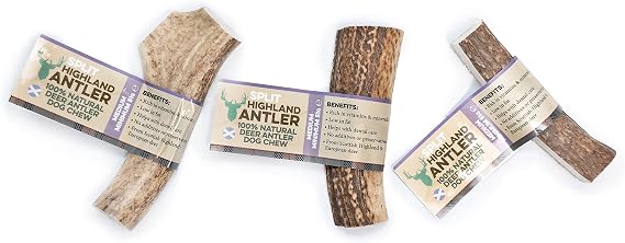 Highland Antler Split Medium Chews For Dogs Pack of 3 Split Horns Organic Chew Dog Toy