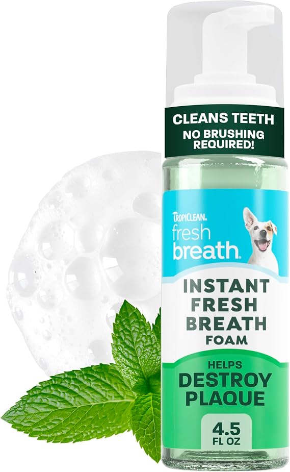 TropiClean Fresh Breath Dental Foam Spray for Dogs & Cats | Quick Breath Freshener and Teeth Cleaning Solution | Made in The USA | 4.5oz.