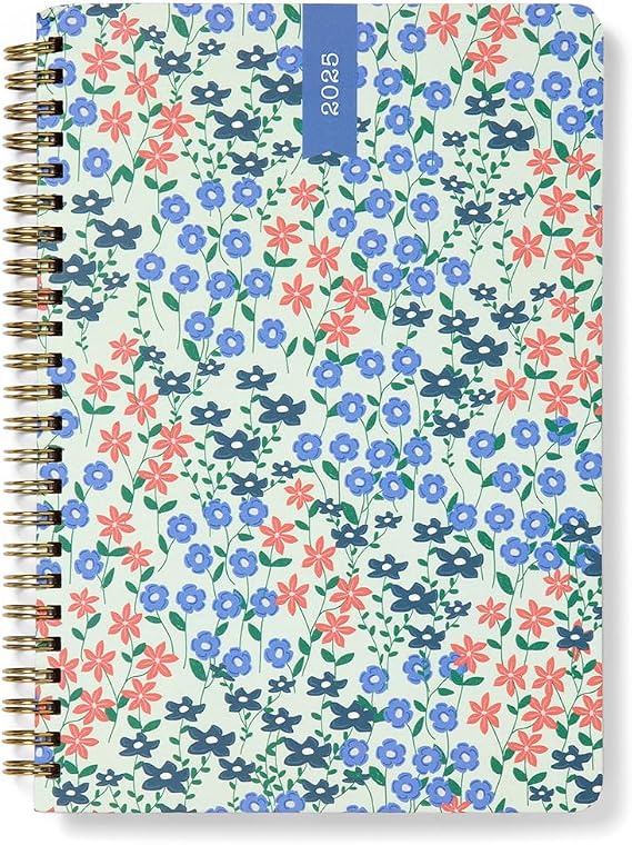 Letts of London Spring Valley A5 week to view 2025 diary - mint