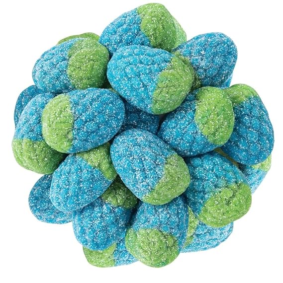 Bayside Candy Wild Raspberry Sour Gummies Tart Blue Raspberry Berries (1LB)