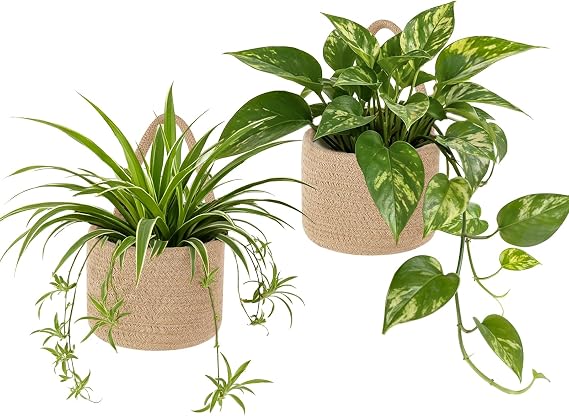 Dahey 2 Pcs Woven Wall Baskets with Plastic Wall Planters for Indoor Plants