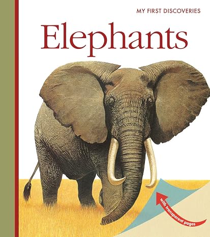 Elephants (My First Discoveries)