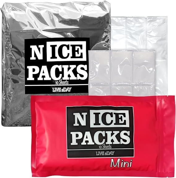 Nice Packs Dry Ice Packs 120 Packs 10 Large Sheets with Dry Ice Packs 60 Packs 10 Sheets