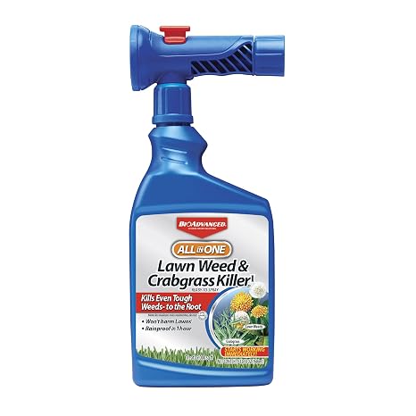 BioAdvanced All-in-One Weed & Crabgrass Killer, Ready-To-Spray, 32 FOZ